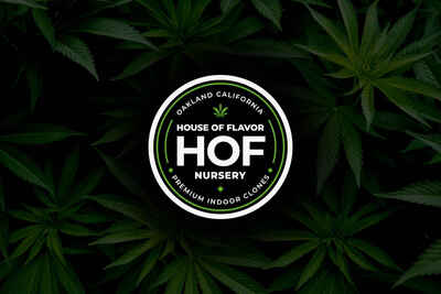 HOF Logo image